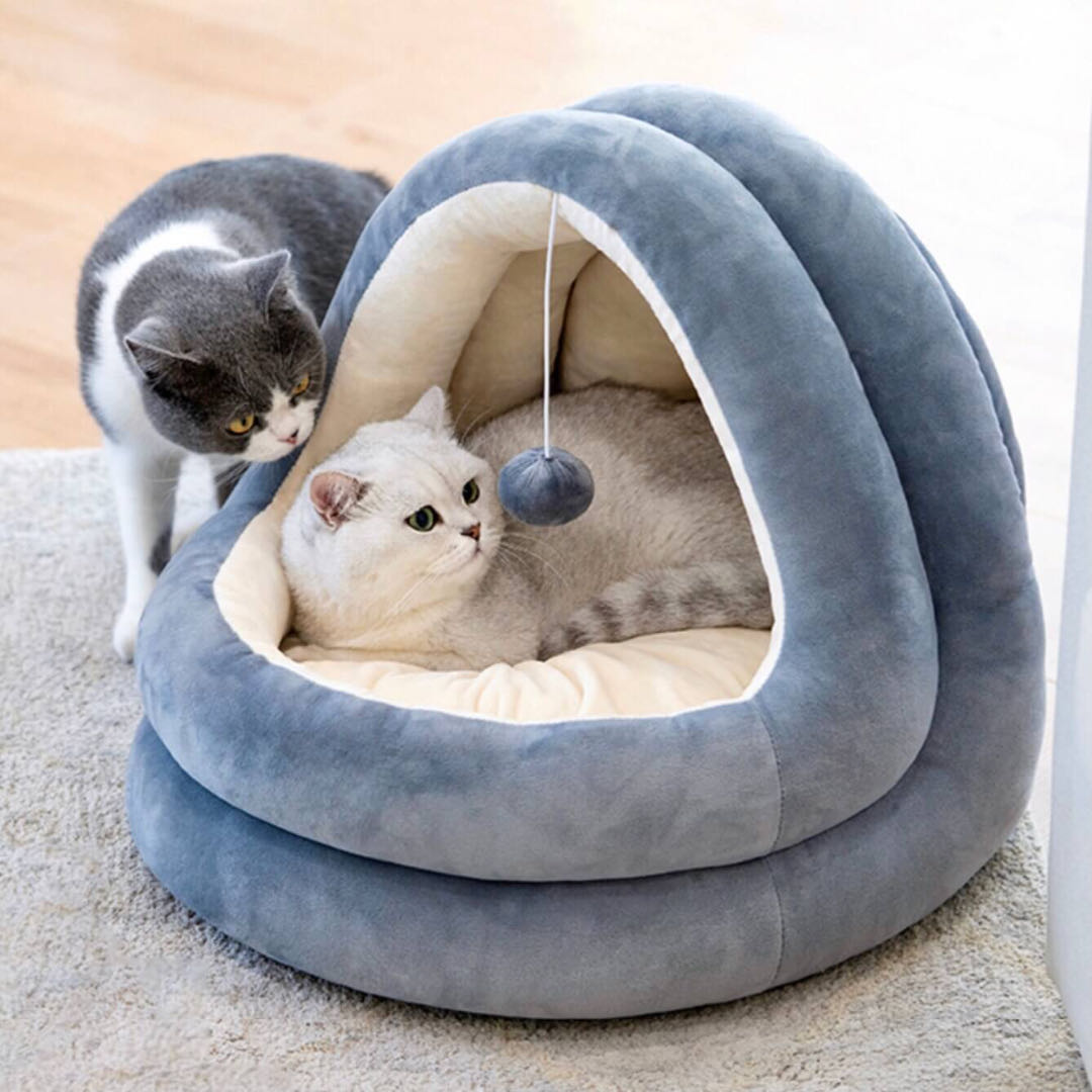  Two Cats Playing Around A Gray Colour Semi Enclosed Cat House