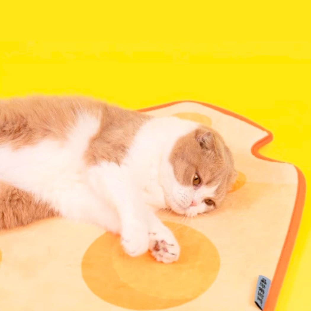 Cheesecake Style Cat Sleeping Mat petvibez