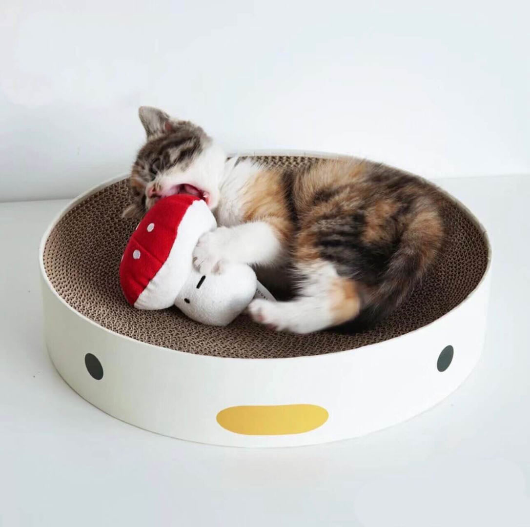 A Kitten Playing On A Chicken Style Scratching Board