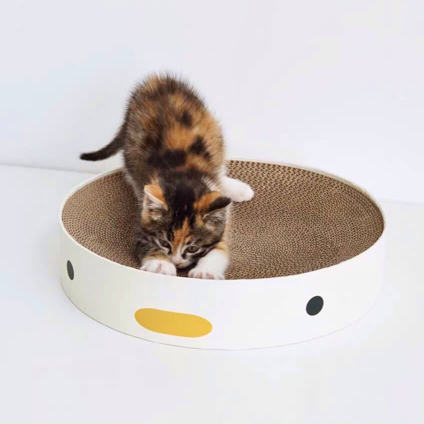 A Kitten Scratching On A Chicken Style Scratching Board 