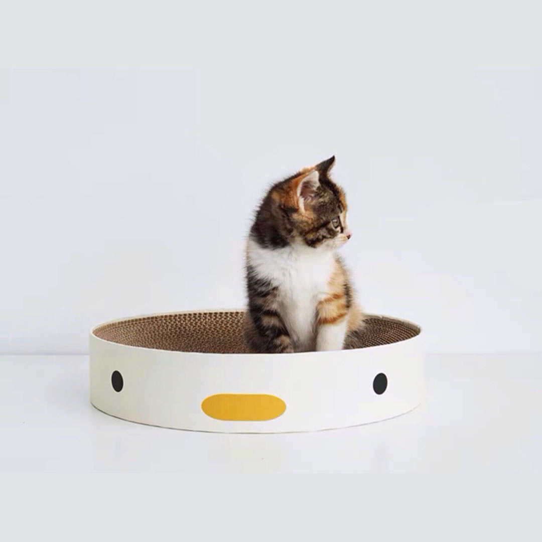 A Kitten Sitting On A Chicken Style Scratching Board