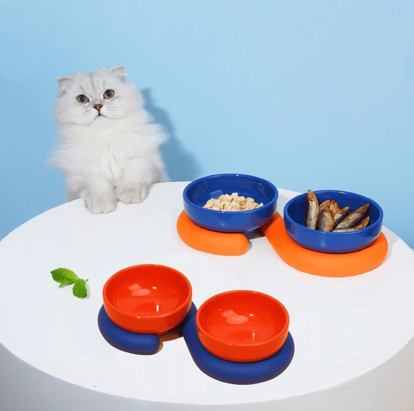 Circle Ceramic Double Cat Bowl White bowl with blue base petvibez