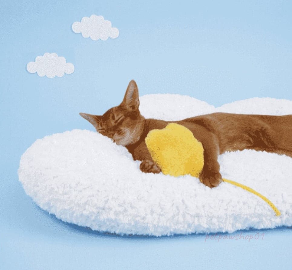 Cloud Design Pet Sleeping Mat Cat Mat petpawshop01