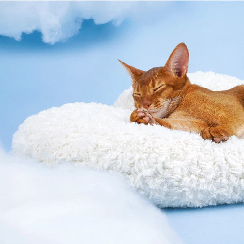 Cloud Design Pet Sleeping Mat Cat Mat petpawshop01