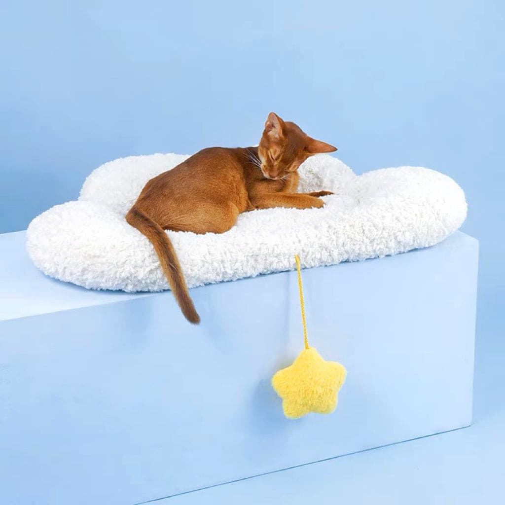 Cloud Design Pet Sleeping Mat Cat Mat petpawshop01