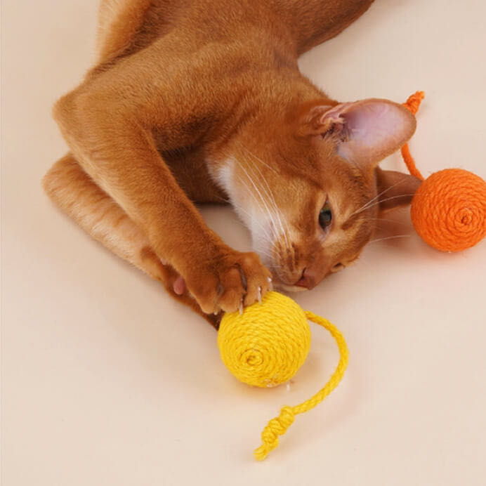 Colourful Sisal Rope Balls Cat Toy Set petvibez