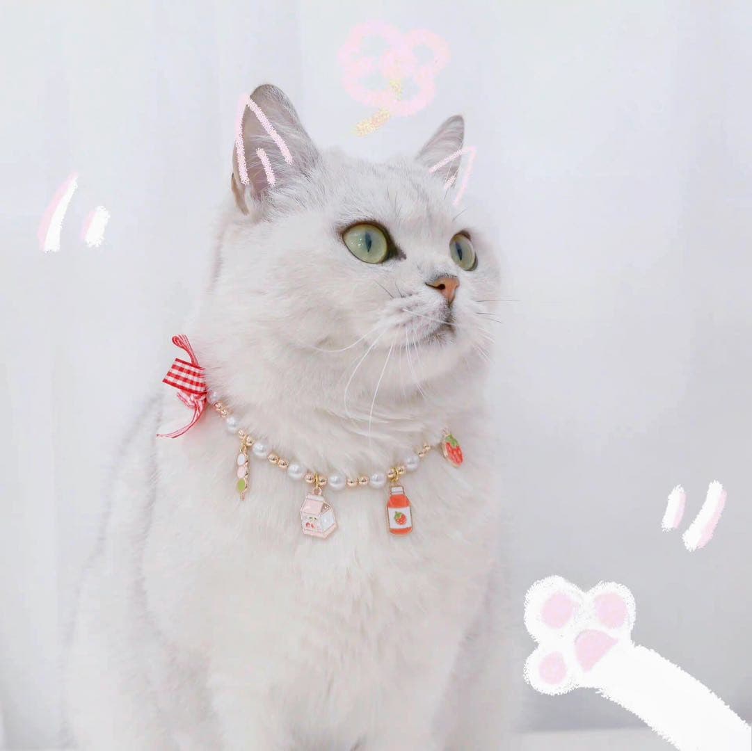 Cute Adjustable Pet Collar Cat Necklace petvibez