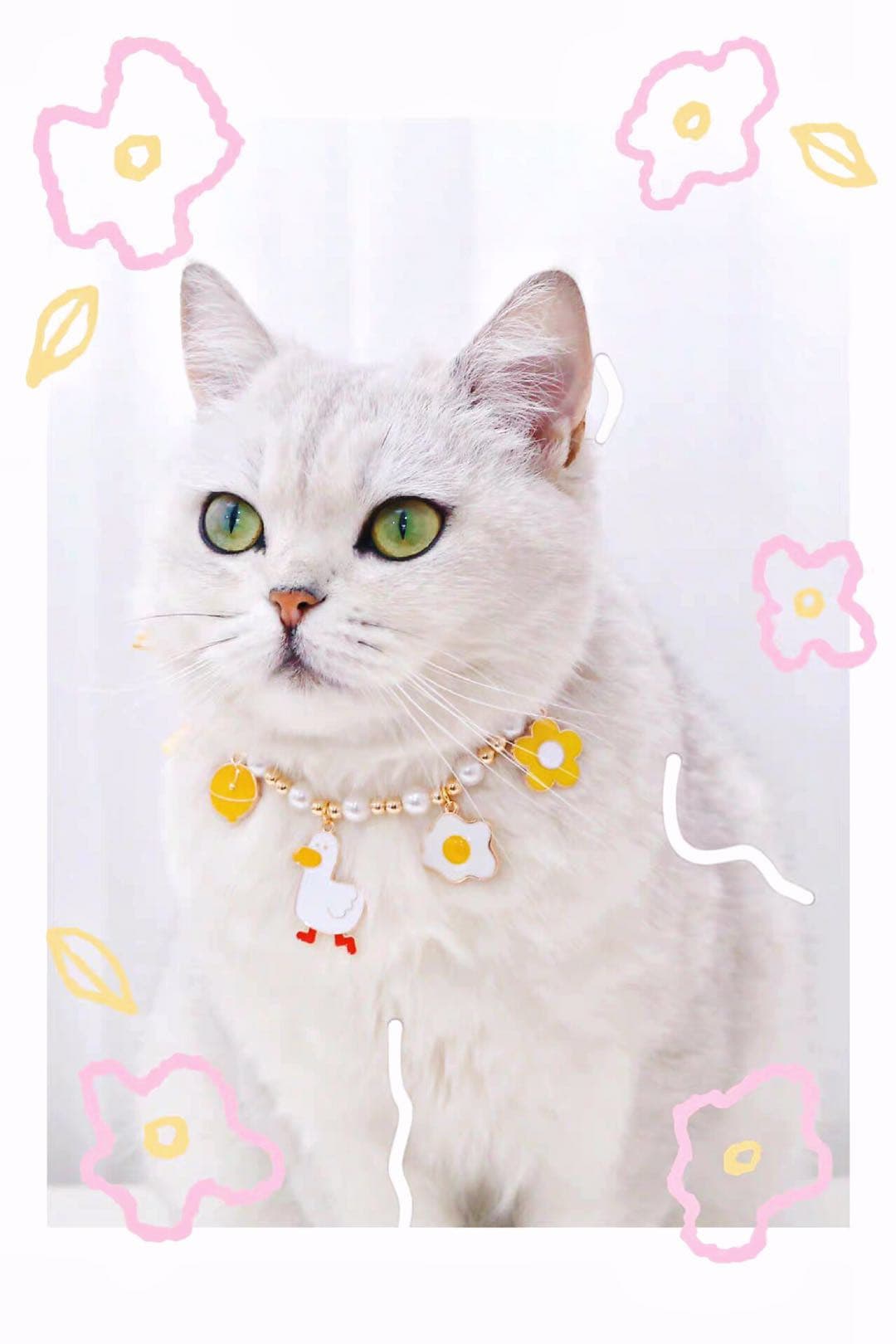 Cute Adjustable Pet Collar Cat Necklace petvibez