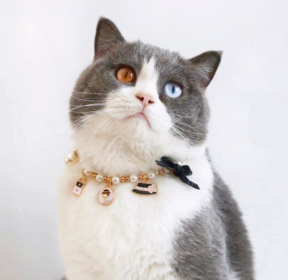 Cute Adjustable Pet Collar Cat Necklace petvibez