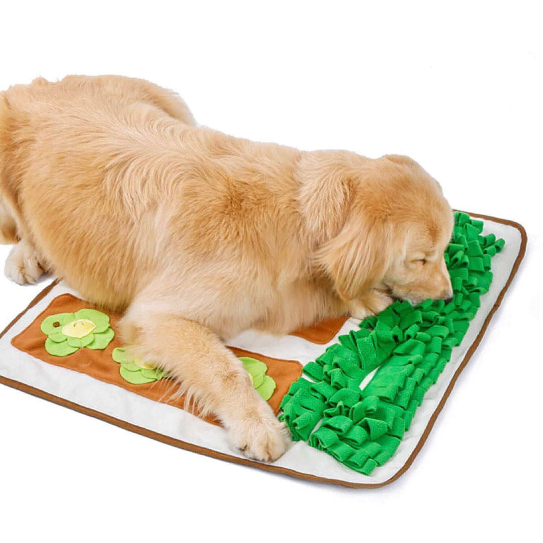 Large Size Farm Garden Styled Dog Snuffle Mat Nose Training Puzzle Toy petvibez