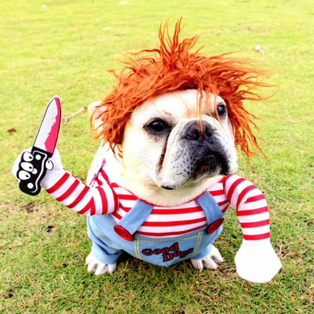 Halloween Chucky Style Dog Costume Clothes petvibez