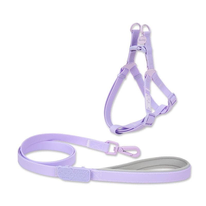 Jelly PVC Chest Back Collar Dog Lead petpawshop01