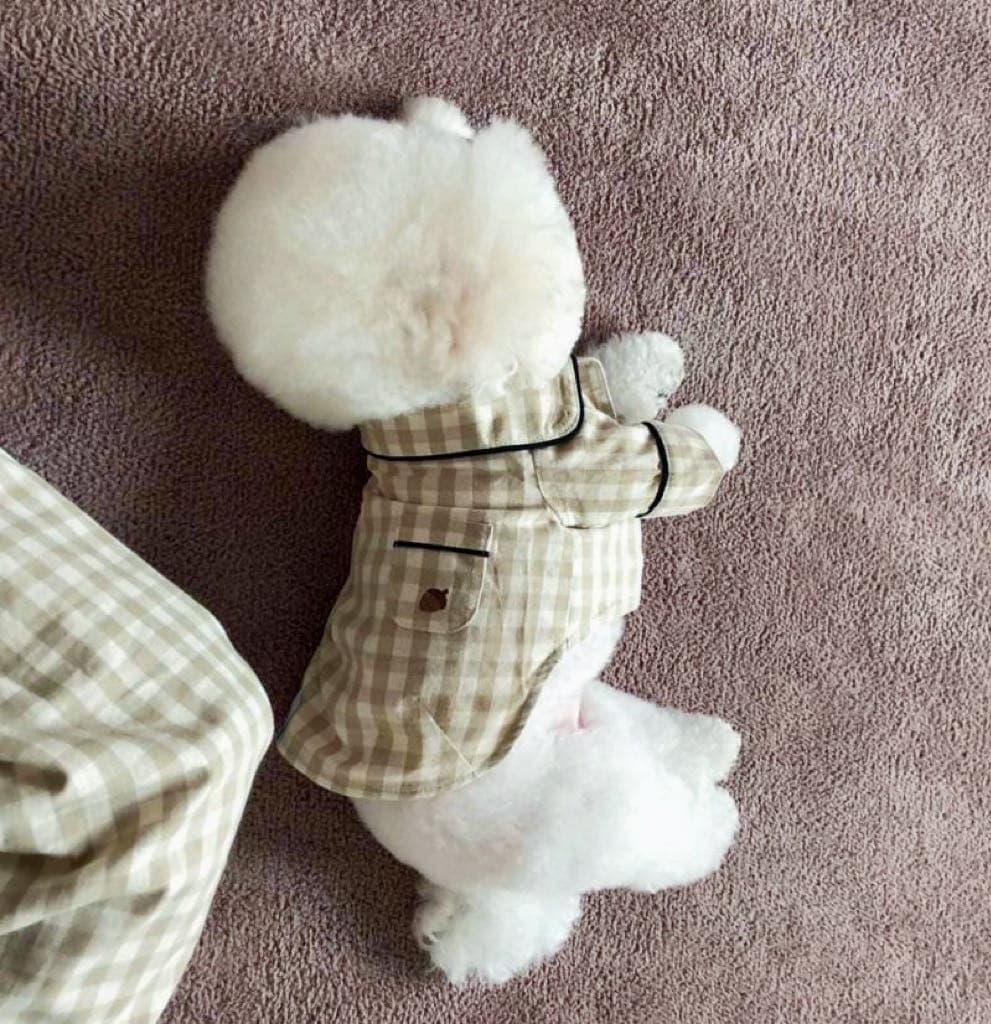 A sleeping puppy wears a pet pyjamas in khaki colour petvibez