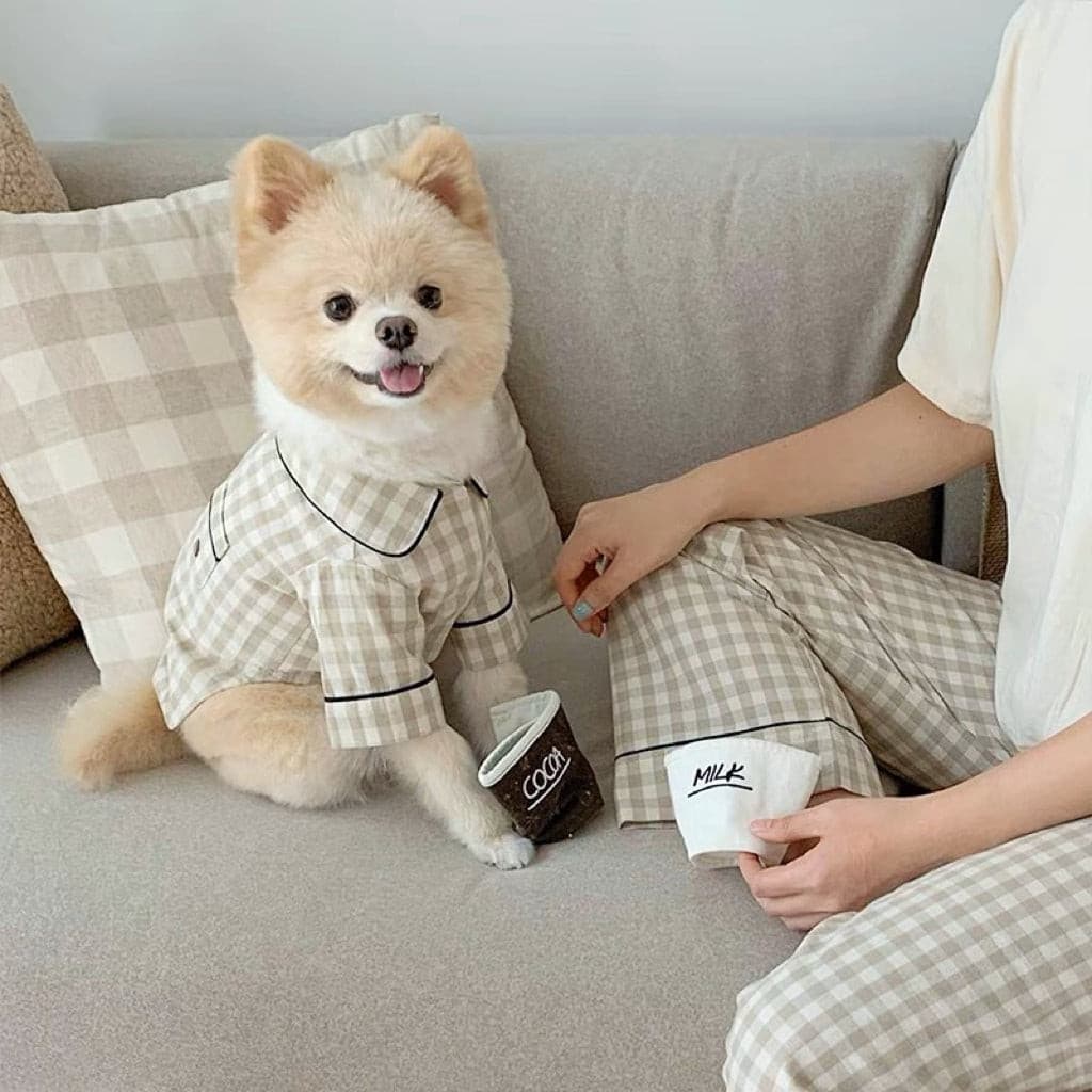 A small puppy wears a pet pyjamas in khaki colour petvibez