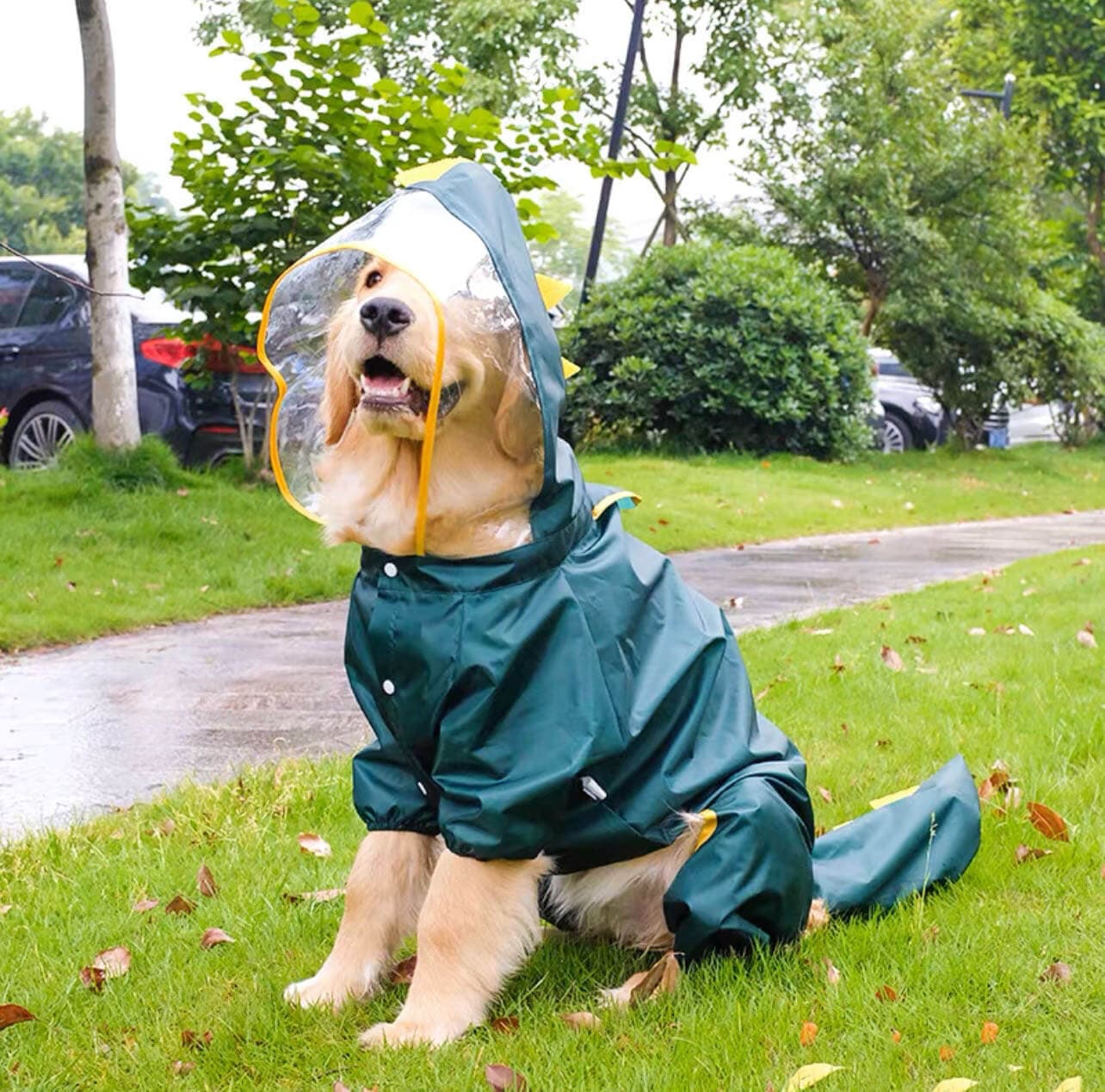 A Large Dog Wears A Raincoat With Dinosaur Style petvibez