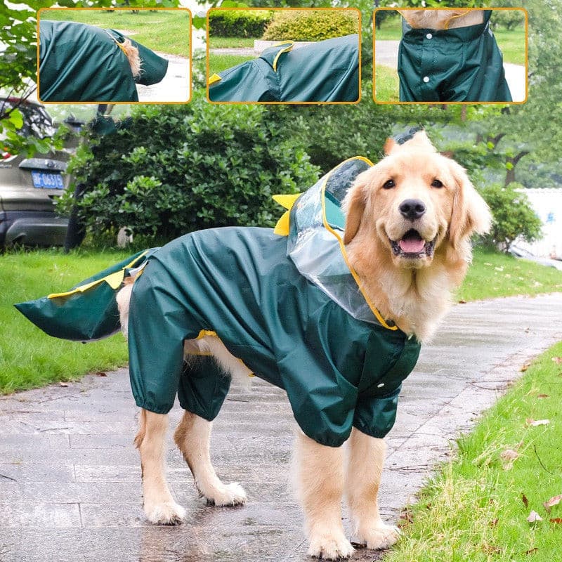 A Large Dog Wears A Raincoat With Dinosaur Style petvibez