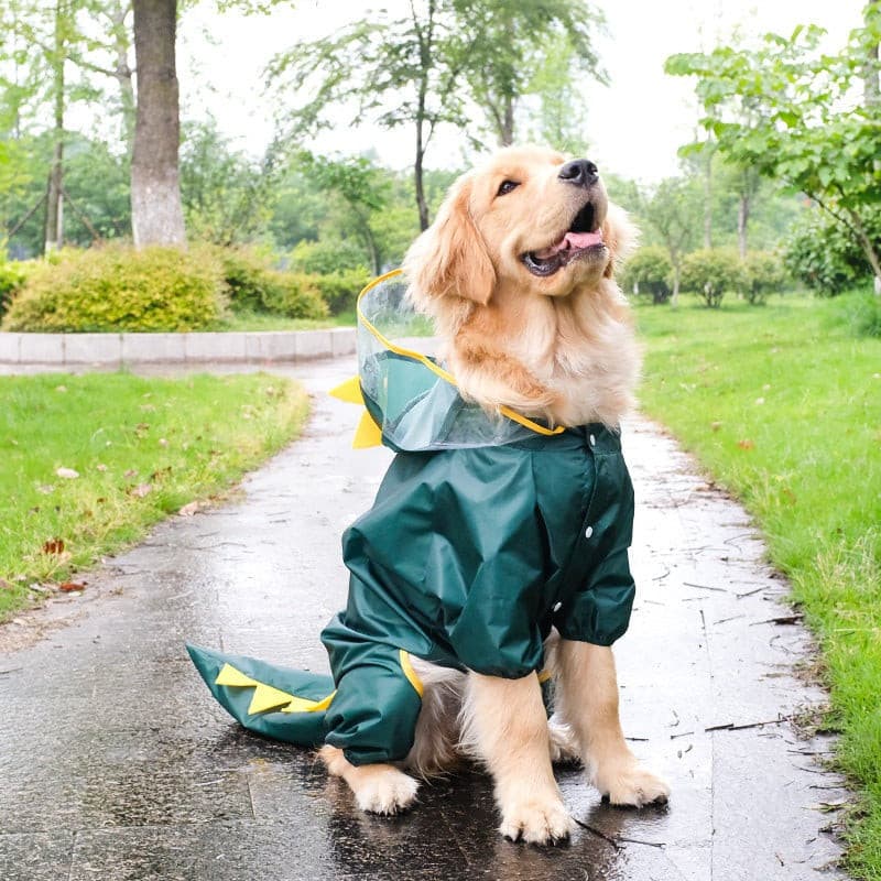 A Large Dog Wears A Raincoat With Dinosaur Style petvibez