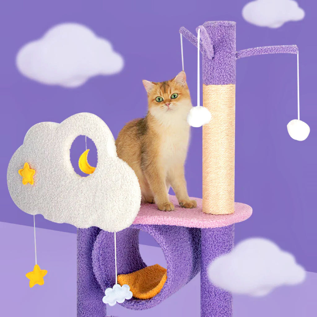 Moonlight Climbing Cat Tree Large Climbing Frame Purple Colour petvibez