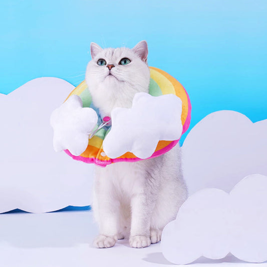 Rainbow E-Collar Elizabeth Adjustable Cat Cone petvibez