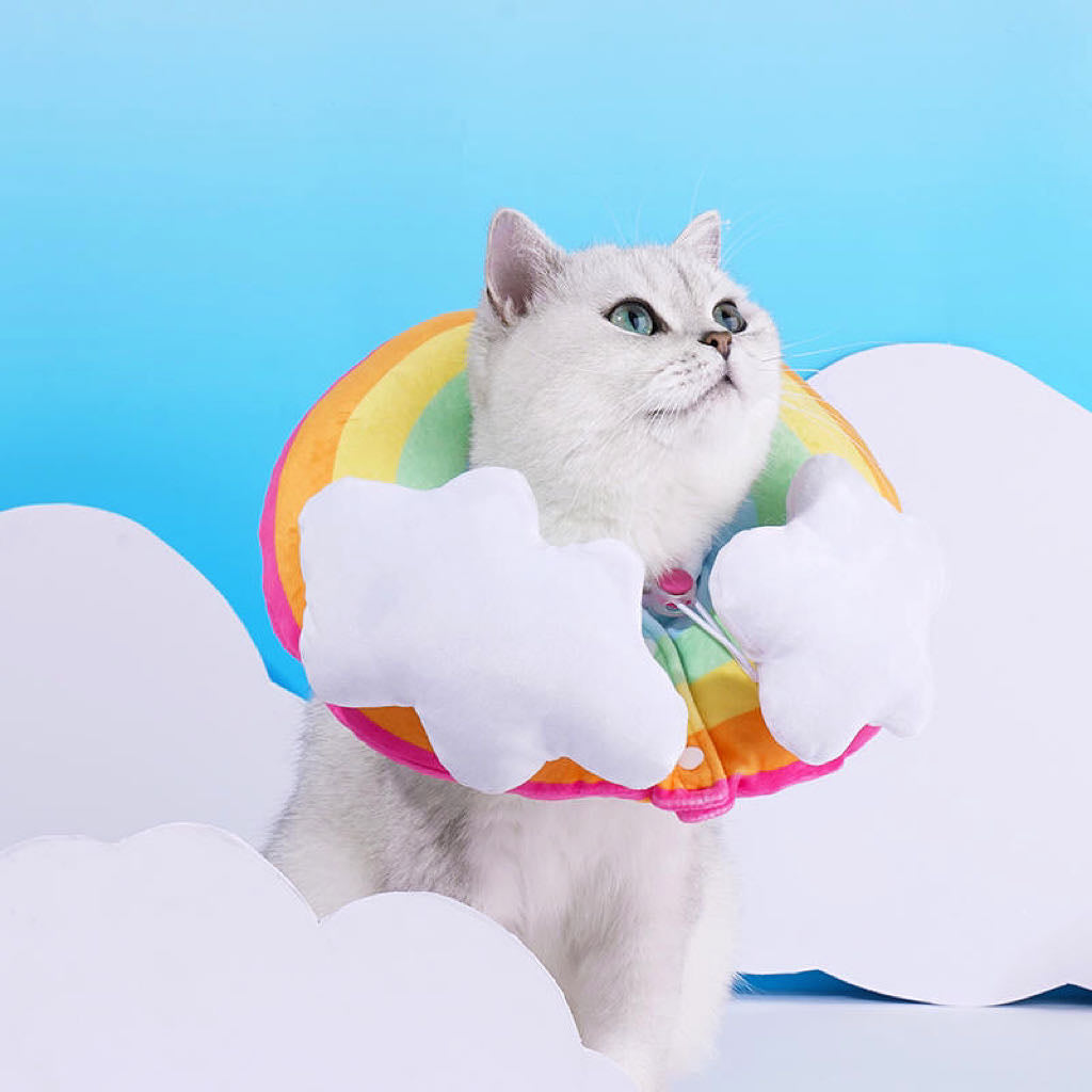 Rainbow E-Collar Elizabeth Adjustable Cat Cone petvibez