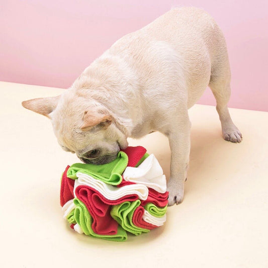 A dog sniffing on a rainbow colour dog snuffle ball with fleece material petvibez