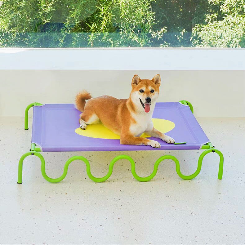 A dog lying on a purple pet elevated bed petvibez